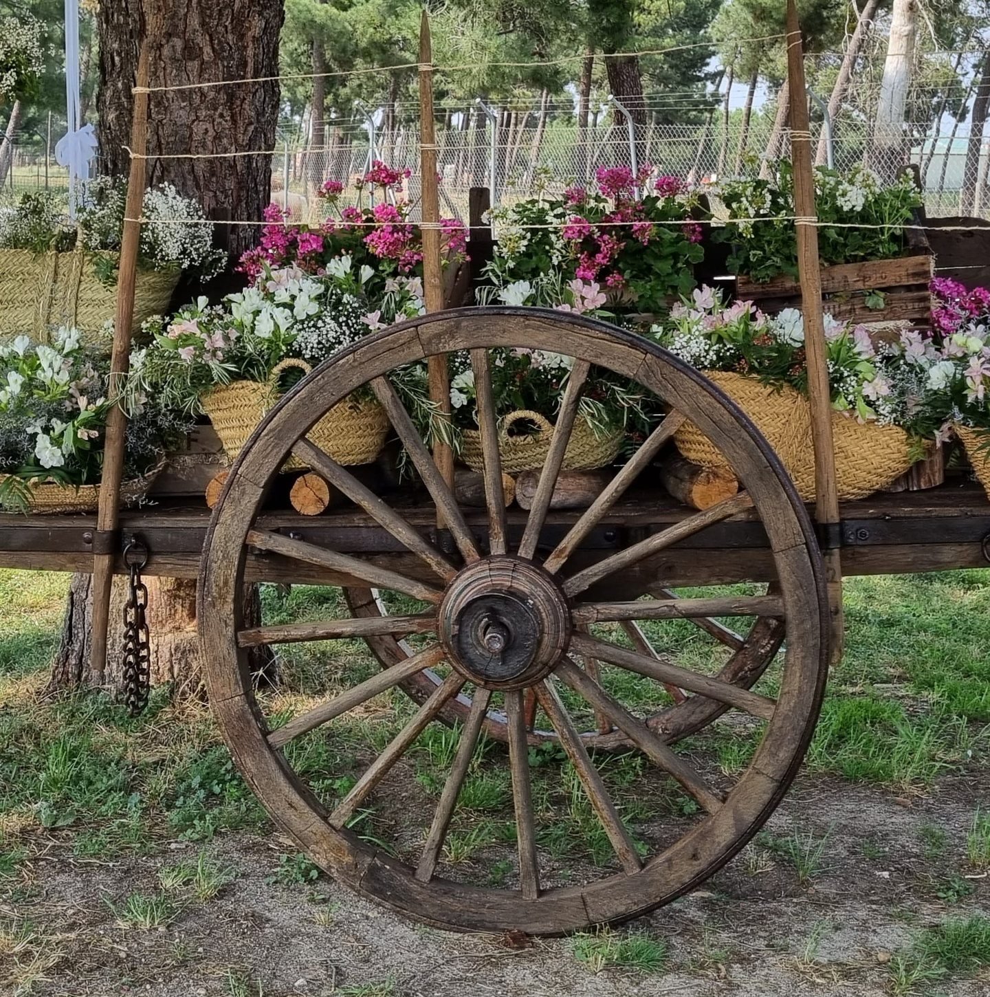 Floristería Lilium - Bodas